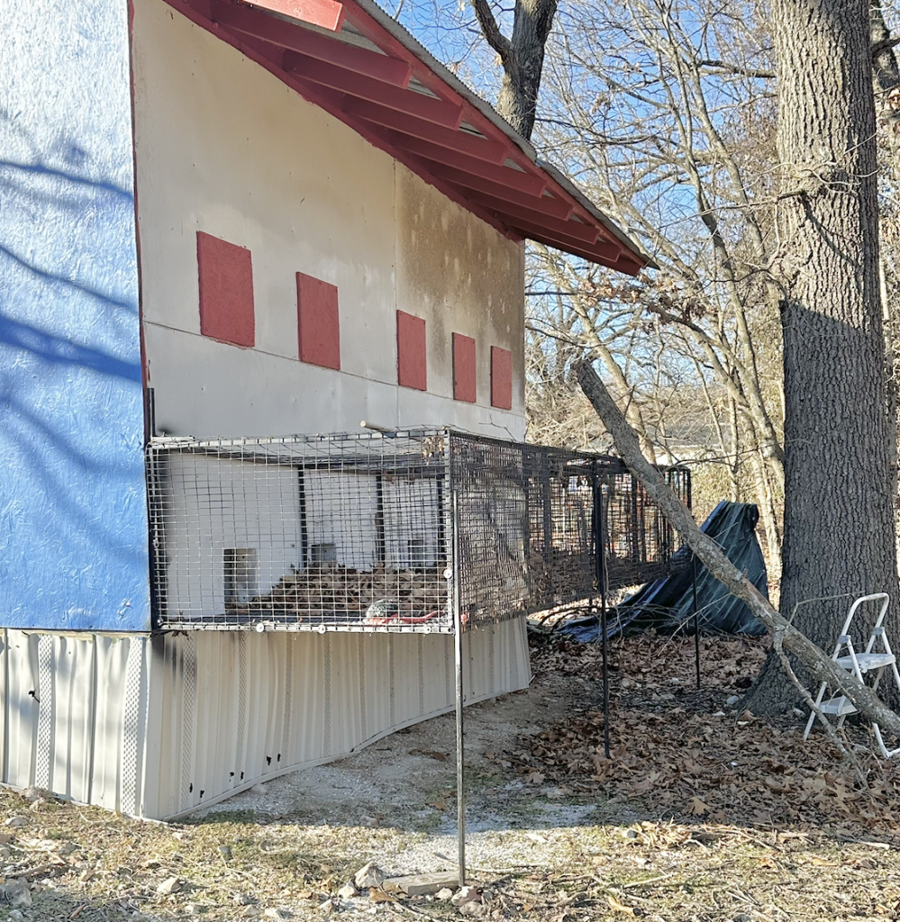 Photo of a retired breeding building that shows elevated wire kennels